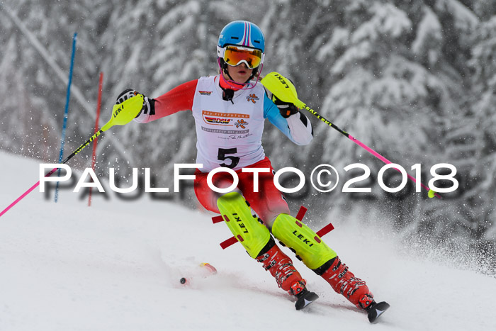 DSV Dt. Schülercup U14 SL 20.01.2018