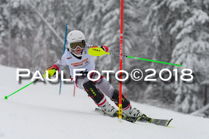 DSV Dt. Schülercup U14 SL 20.01.2018