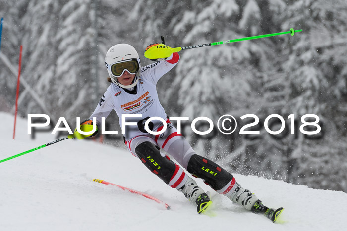 DSV Dt. Schülercup U14 SL 20.01.2018