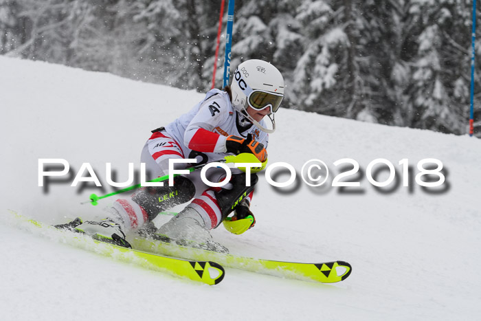 DSV Dt. Schülercup U14 SL 20.01.2018