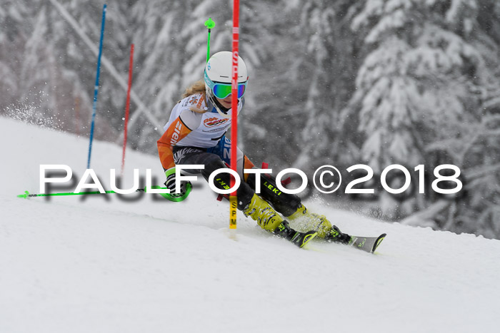 DSV Dt. Schülercup U14 SL 20.01.2018