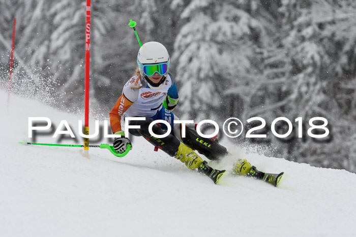 DSV Dt. Schülercup U14 SL 20.01.2018