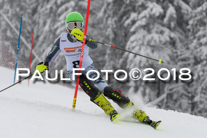 DSV Dt. Schülercup U14 SL 20.01.2018
