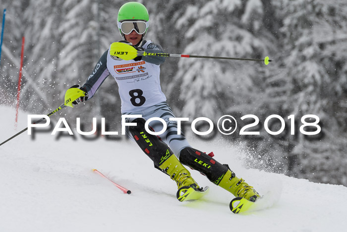 DSV Dt. Schülercup U14 SL 20.01.2018