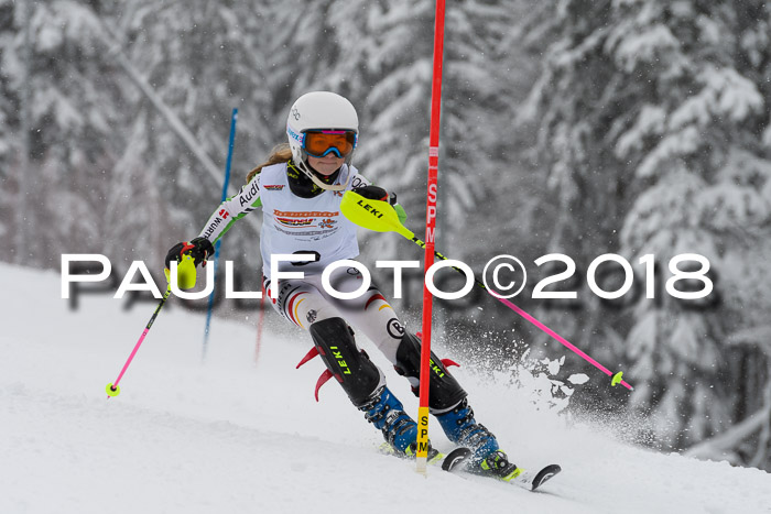 DSV Dt. Schülercup U14 SL 20.01.2018