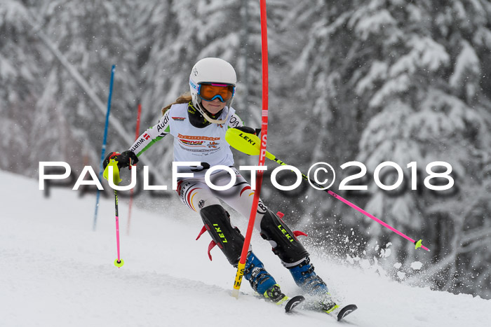 DSV Dt. Schülercup U14 SL 20.01.2018