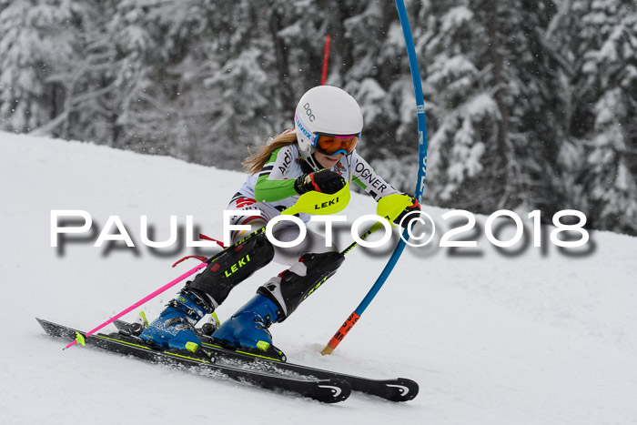 DSV Dt. Schülercup U14 SL 20.01.2018