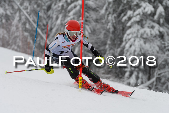 DSV Dt. Schülercup U14 SL 20.01.2018