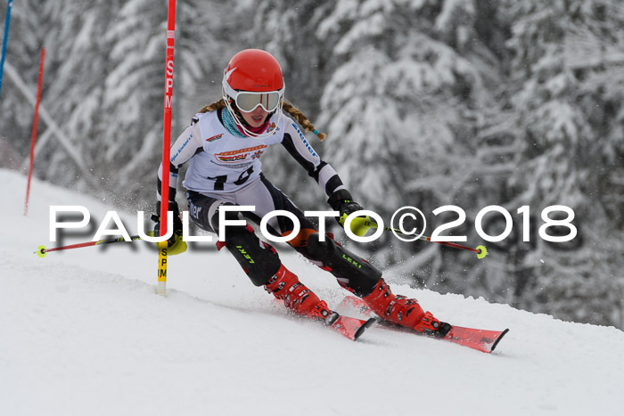 DSV Dt. Schülercup U14 SL 20.01.2018