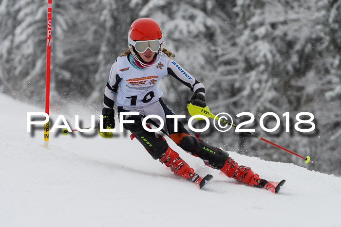DSV Dt. Schülercup U14 SL 20.01.2018