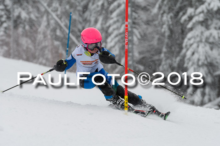 DSV Dt. Schülercup U14 SL 20.01.2018