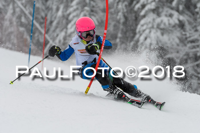 DSV Dt. Schülercup U14 SL 20.01.2018