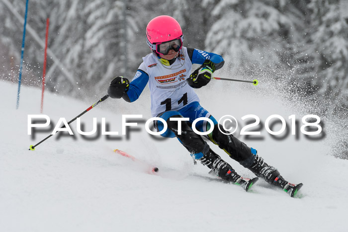 DSV Dt. Schülercup U14 SL 20.01.2018