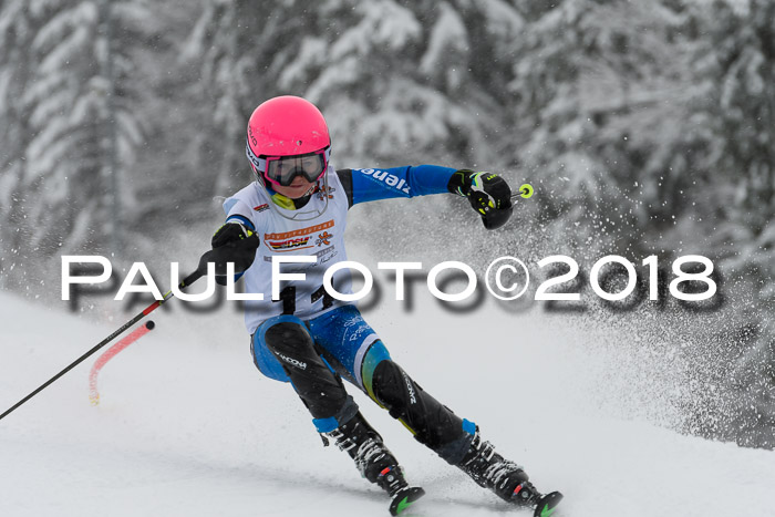 DSV Dt. Schülercup U14 SL 20.01.2018