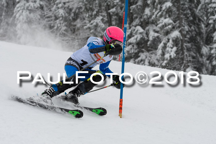 DSV Dt. Schülercup U14 SL 20.01.2018