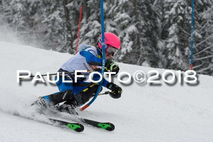 DSV Dt. Schülercup U14 SL 20.01.2018