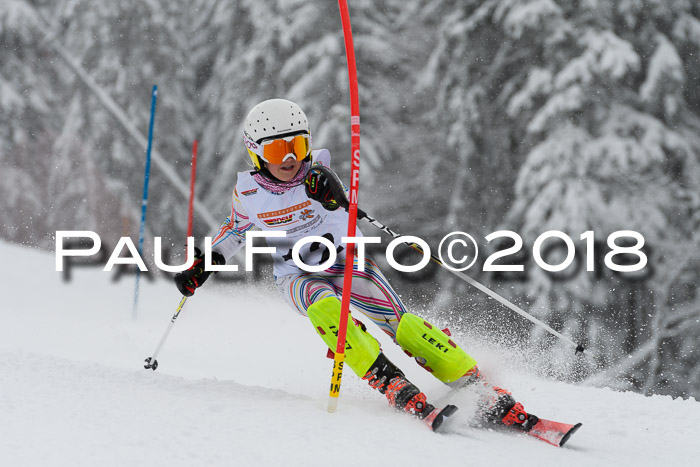 DSV Dt. Schülercup U14 SL 20.01.2018