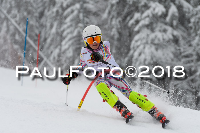 DSV Dt. Schülercup U14 SL 20.01.2018