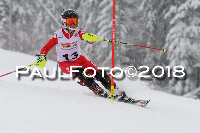 DSV Dt. Schülercup U14 SL 20.01.2018