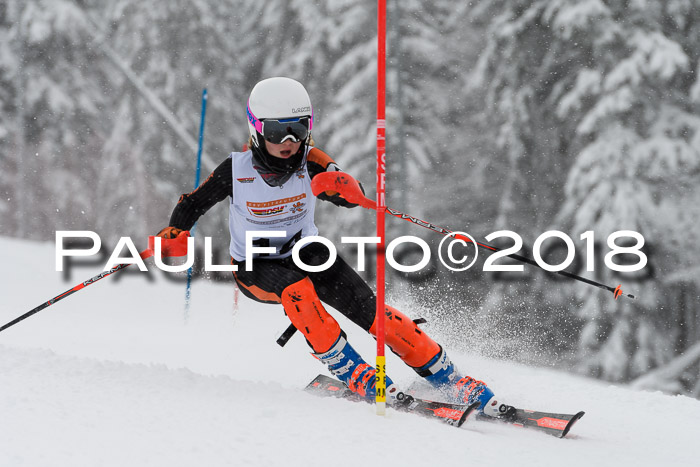 DSV Dt. Schülercup U14 SL 20.01.2018