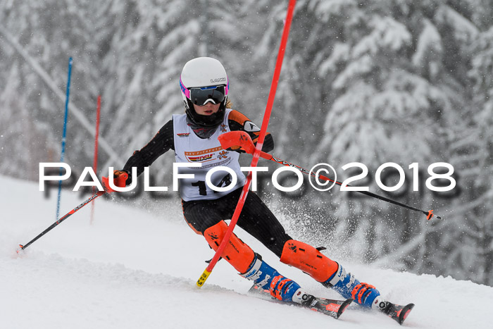 DSV Dt. Schülercup U14 SL 20.01.2018