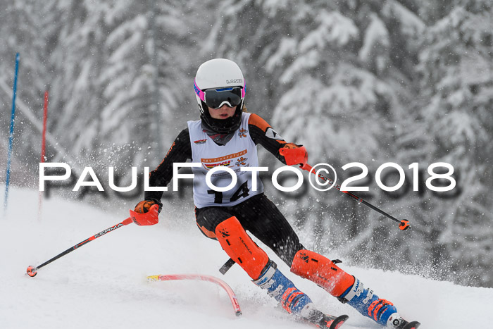 DSV Dt. Schülercup U14 SL 20.01.2018