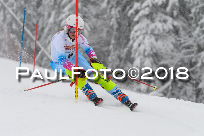DSV Dt. Schülercup U14 SL 20.01.2018