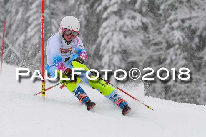 DSV Dt. Schülercup U14 SL 20.01.2018