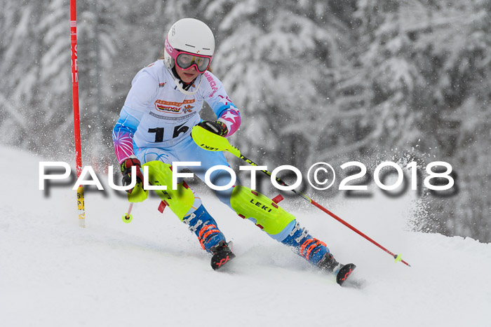 DSV Dt. Schülercup U14 SL 20.01.2018