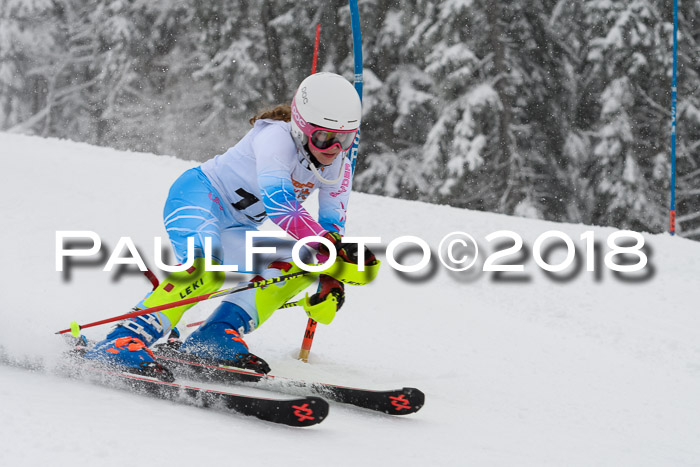 DSV Dt. Schülercup U14 SL 20.01.2018