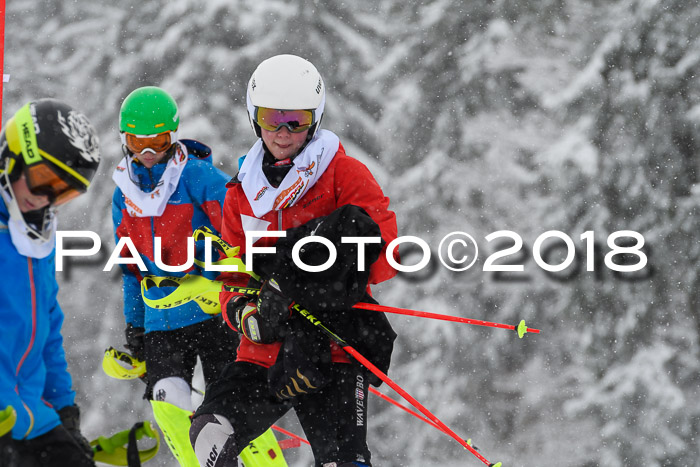 DSV Dt. Schülercup U14 SL 20.01.2018