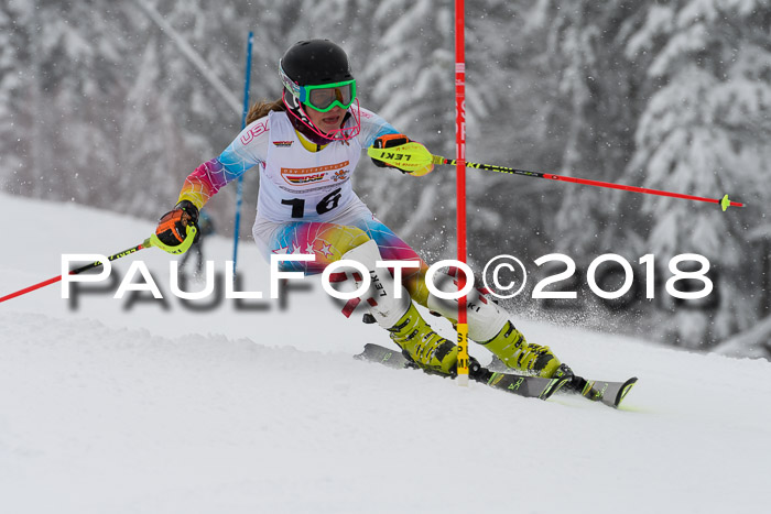 DSV Dt. Schülercup U14 SL 20.01.2018