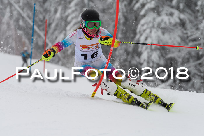 DSV Dt. Schülercup U14 SL 20.01.2018