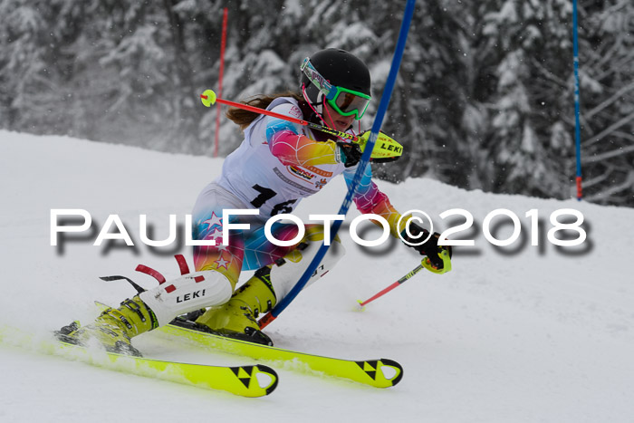 DSV Dt. Schülercup U14 SL 20.01.2018