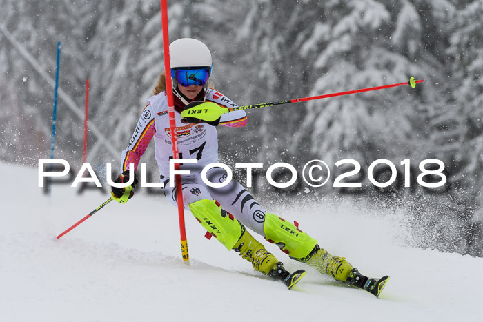 DSV Dt. Schülercup U14 SL 20.01.2018