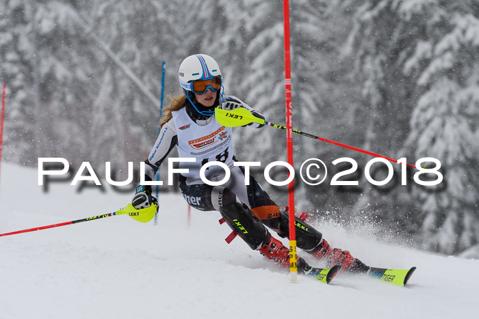 DSV Dt. Schülercup U14 SL 20.01.2018