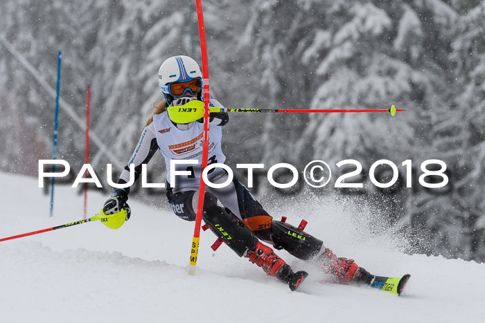 DSV Dt. Schülercup U14 SL 20.01.2018