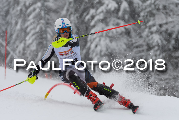 DSV Dt. Schülercup U14 SL 20.01.2018