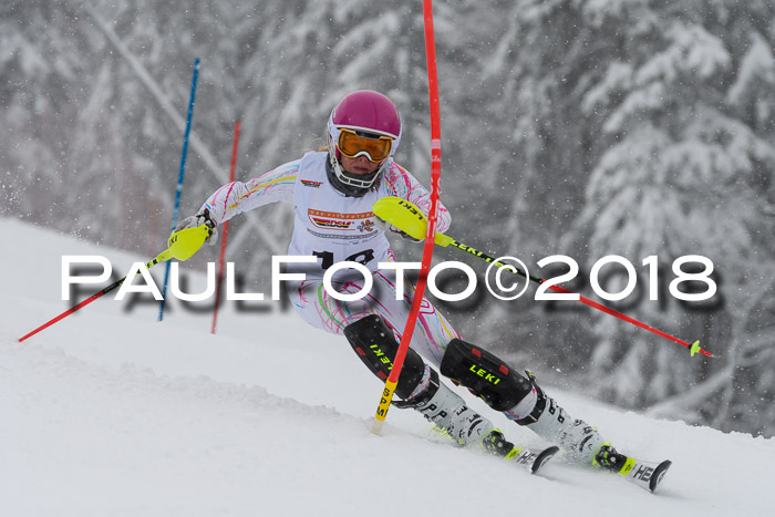 DSV Dt. Schülercup U14 SL 20.01.2018