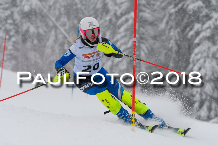 DSV Dt. Schülercup U14 SL 20.01.2018