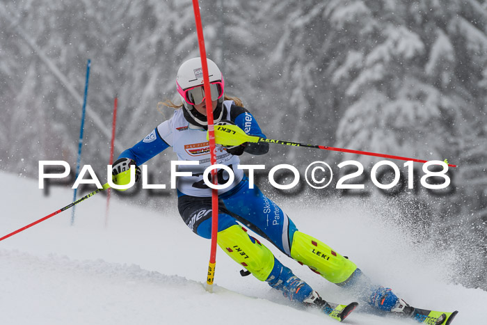 DSV Dt. Schülercup U14 SL 20.01.2018