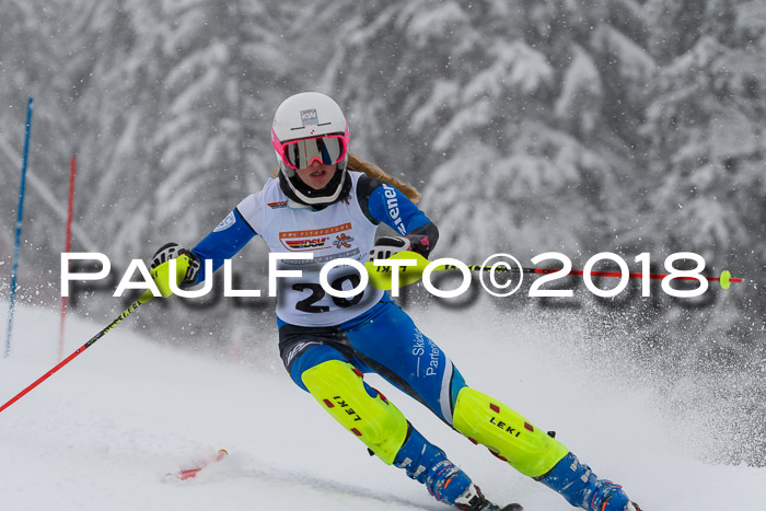 DSV Dt. Schülercup U14 SL 20.01.2018