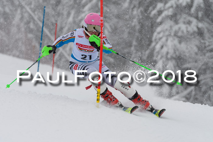 DSV Dt. Schülercup U14 SL 20.01.2018