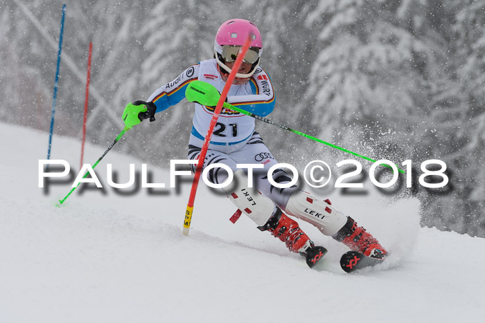 DSV Dt. Schülercup U14 SL 20.01.2018