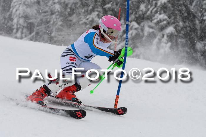 DSV Dt. Schülercup U14 SL 20.01.2018