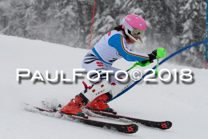 DSV Dt. Schülercup U14 SL 20.01.2018
