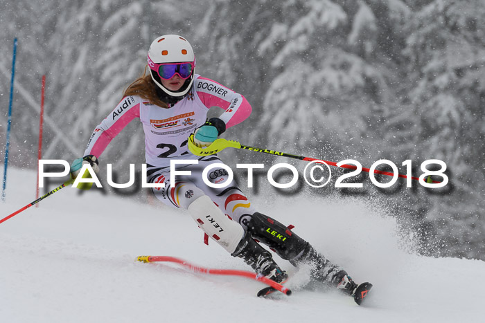 DSV Dt. Schülercup U14 SL 20.01.2018