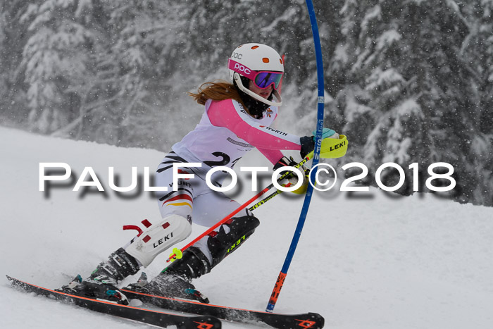 DSV Dt. Schülercup U14 SL 20.01.2018