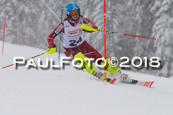 DSV Dt. Schülercup U14 SL 20.01.2018