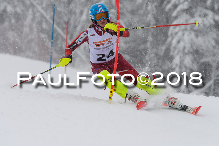 DSV Dt. Schülercup U14 SL 20.01.2018